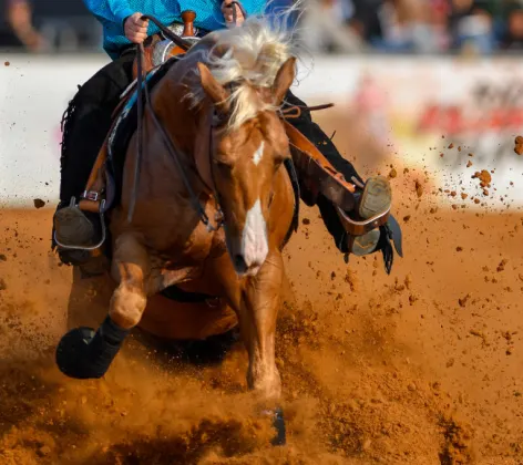 Horse and rider running through dirt